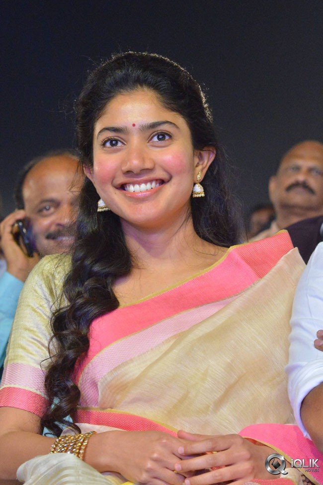 MCA-Movie-Pre-Release-Event-Photos